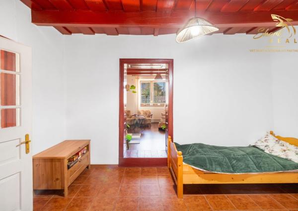 Príjemný 3-izbový dom s veľkým pozemkom 