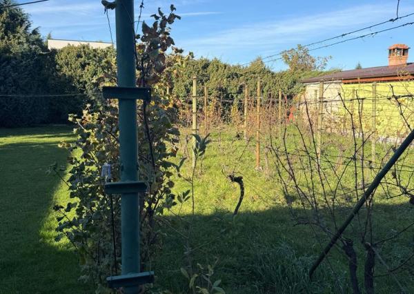 Na predaj starší 3-izbový rodinný dom Pezinok - Grinava