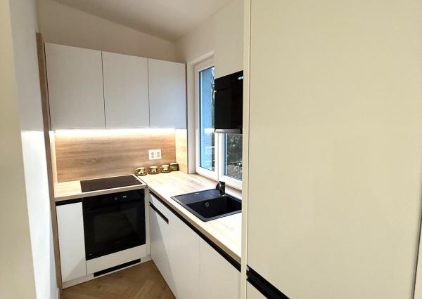 NOVÁ REKONŠTRUKCIA _ 2i byt Predaj 