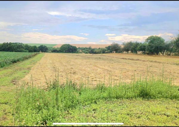 Na predaj Pozemok v Obci Egreš 2000 m² 