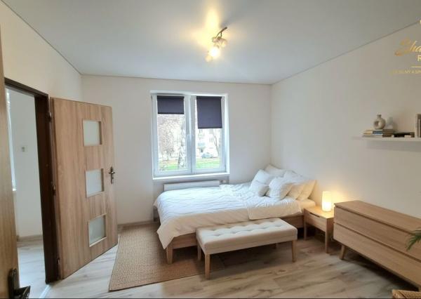   2-izbový byt po kompletnej rekonštrukcii v centre mesta s vizualizáciou