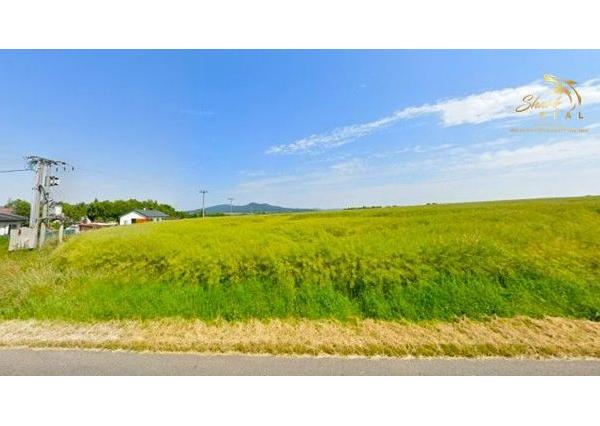 Stavebné pozemky neďaleko Nitry