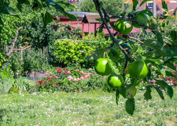ZNÍŽENÁ CENA - EXKLUZÍVNE: Záhrada s murovanou chatkou – Špačince, Dolný mlyn – len 5 minút od Trnavy!