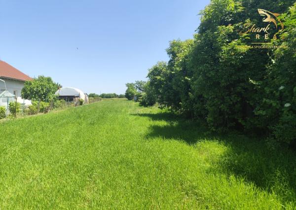 Ponúkam na predaj krásny pozemok vo výbornej lokalite.