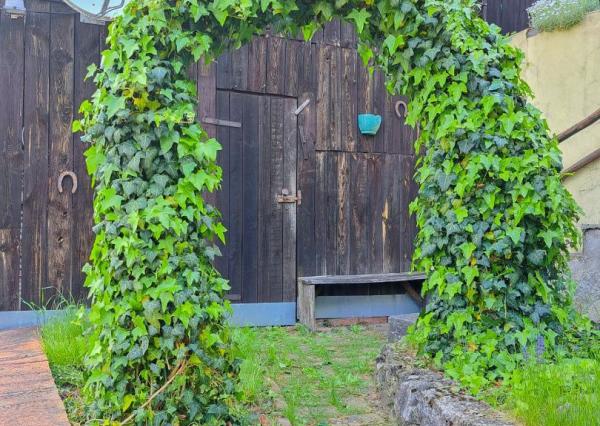 Malebná romantická chalupa pod lesom