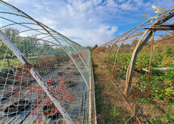 Rodinný dom s pozemkom vhodným na podnikanie