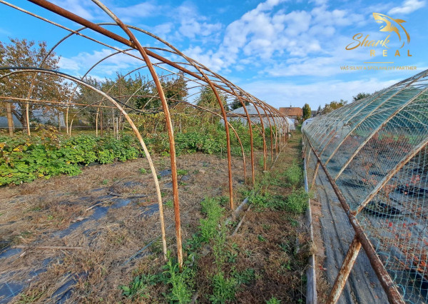 Rodinný dom s pozemkom vhodným na podnikanie
