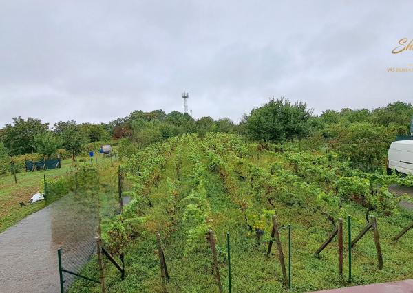 JEDINEČNÁ PONUKA! Rekreačná chata na predaj