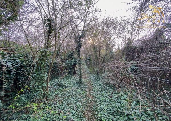 Znížená cena - Jedinečná príležitosť - Historický vinársky dom v samotnom srdci Pezinka