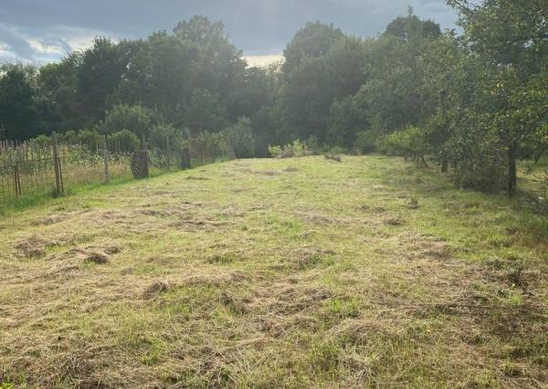 Exkluzívne - Investičný rovinatý pozemok na predaj