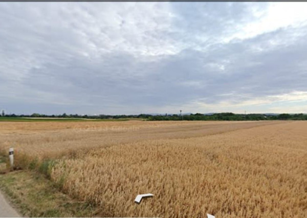 Predaj pozemku - záhrada v Bučanoch