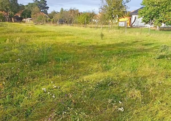 Len u nás nová cena! Rovinatý pozemok na predaj