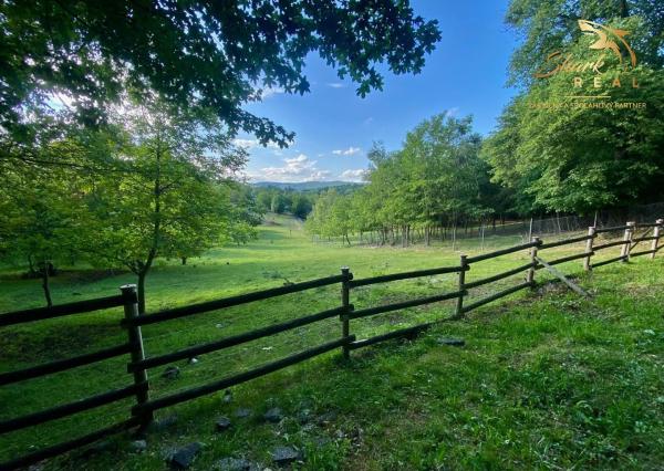 Nádherný investičný pozemok pri lese