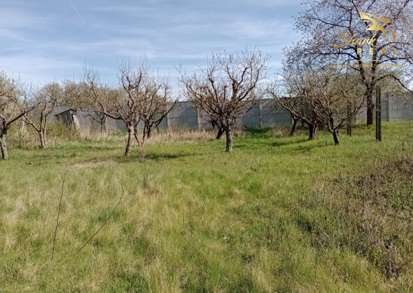 Slnečný pozemok v Poľnom Kesove