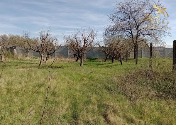 Slnečný pozemok v Poľnom Kesove