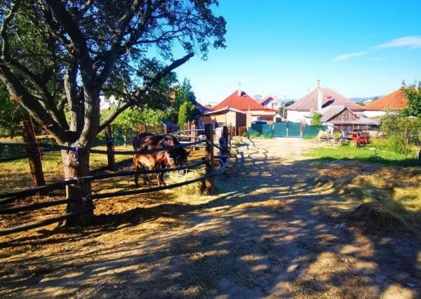 Znížená cena. Zrekonštruovaný rodinný dom vo Veľkých Kostoľanoch