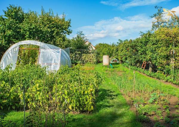 Peknučký zrekonštruovaný dom s veľkou úžitkovou záhradou