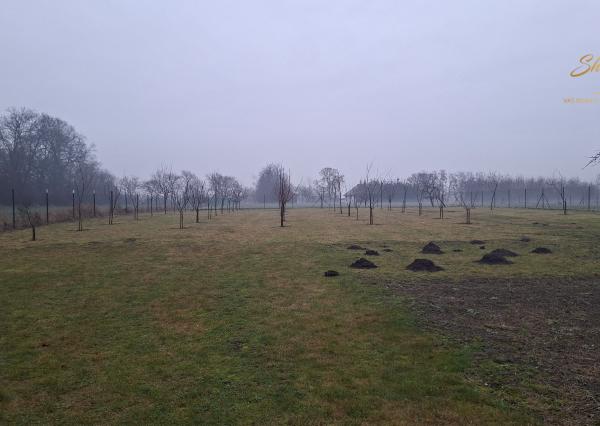 Rodinný dom na predaj s rozsiahlym pozemkom