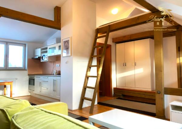 1izbový byt v  Ľudovej  štvrti _ Prenájom 