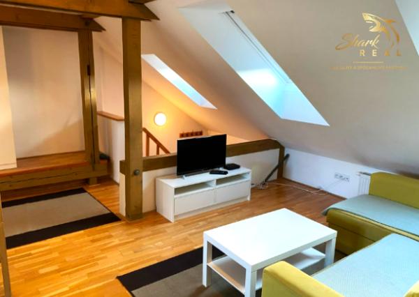 1izbový byt v  Ľudovej  štvrti _ Prenájom 