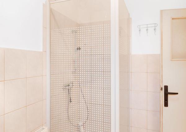 Priestranný 5-izbový dom s veľkým pozemkom v obci Iža