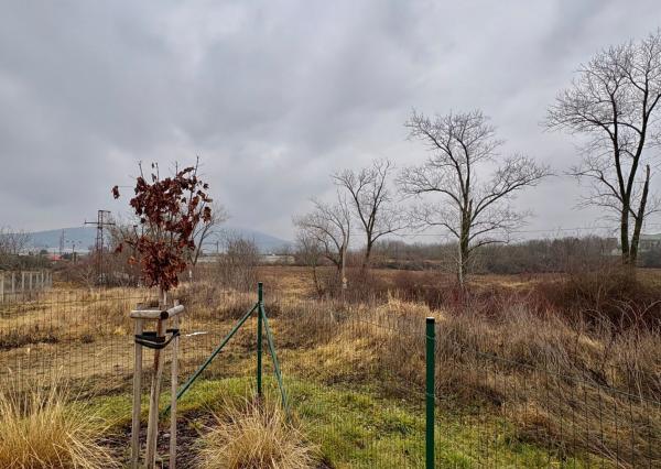 EXKLUZÍVNE NA PREDAJ Moderný 4-izbový rodinný dom – dvojdom | Smreková ulica, Lužianky