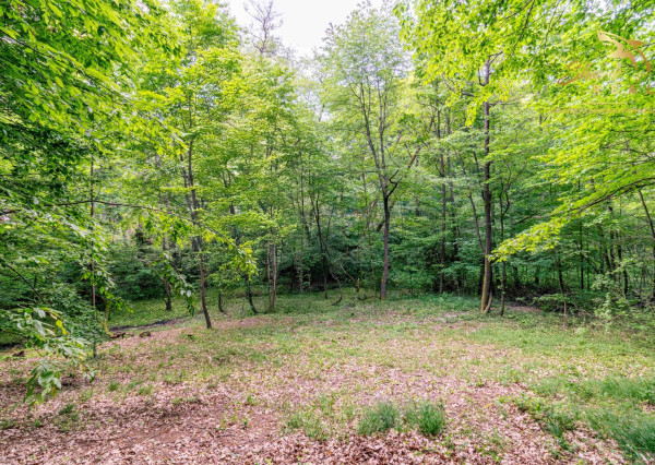 Duchonka / Pozemok  na výstavbu chaty v lone prírody