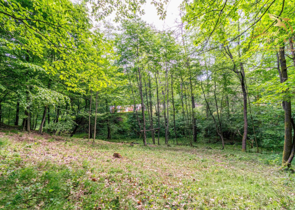 Duchonka / Pozemok  na výstavbu chaty v lone prírody