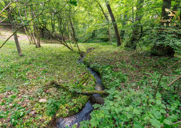 Duchonka / Pozemok  na výstavbu chaty v lone prírody