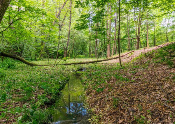 Duchonka / Pozemok  na výstavbu chaty v lone prírody