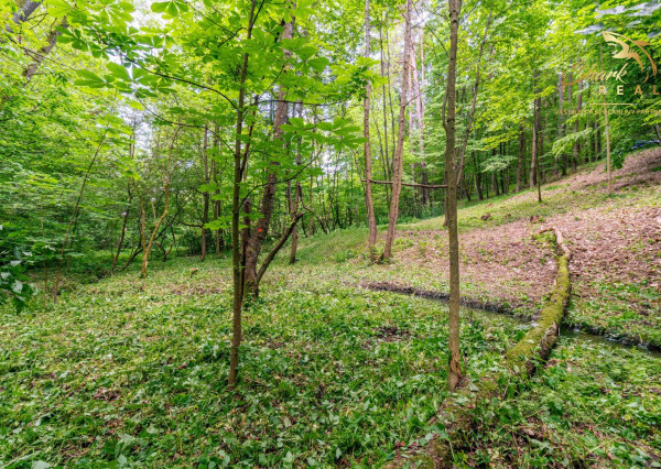 Duchonka / Pozemok  na výstavbu chaty v lone prírody