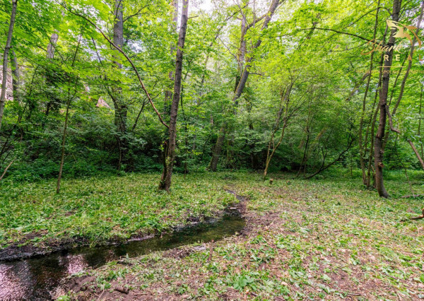 Duchonka / Pozemok  na výstavbu chaty v lone prírody
