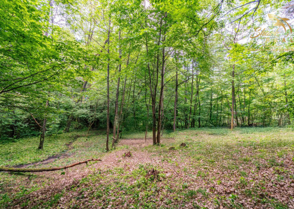 Duchonka / Pozemok  na výstavbu chaty v lone prírody