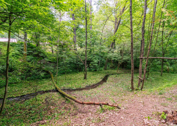 Duchonka / Pozemok  na výstavbu chaty v lone prírody