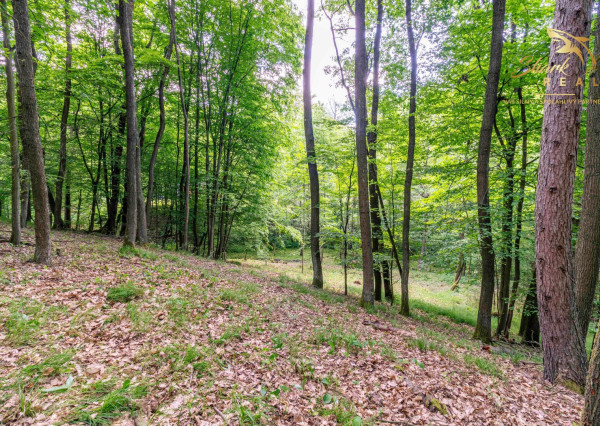 Duchonka / Pozemok  na výstavbu chaty v lone prírody