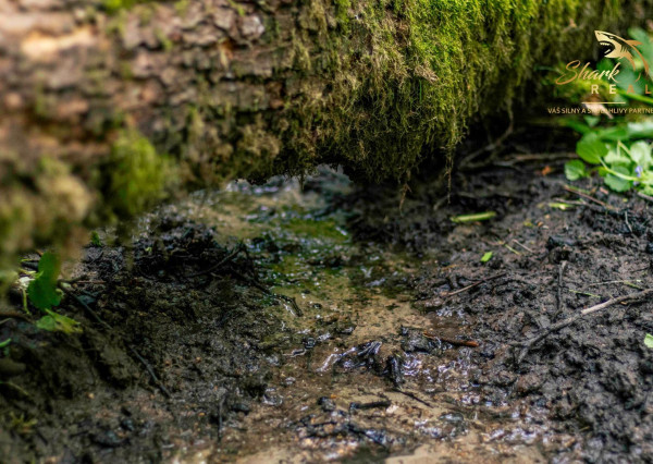 Duchonka / Pozemok  na výstavbu chaty v lone prírody