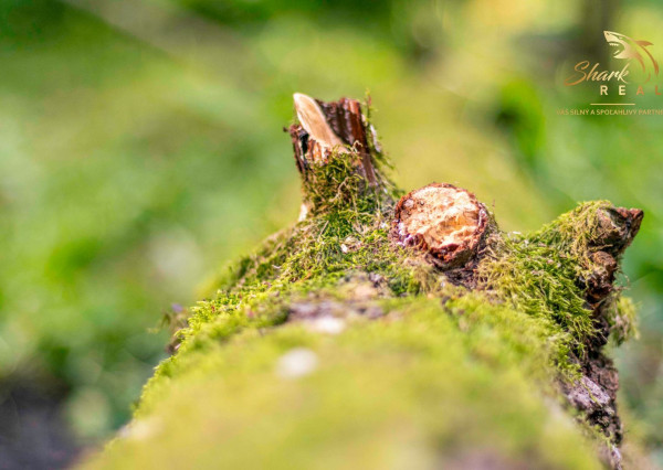 Duchonka / Pozemok  na výstavbu chaty v lone prírody