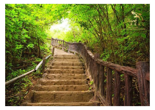 Duchonka / Pozemok  na výstavbu chaty v lone prírody