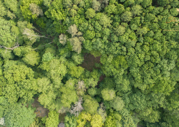 Duchonka / Pozemok  na výstavbu chaty v lone prírody
