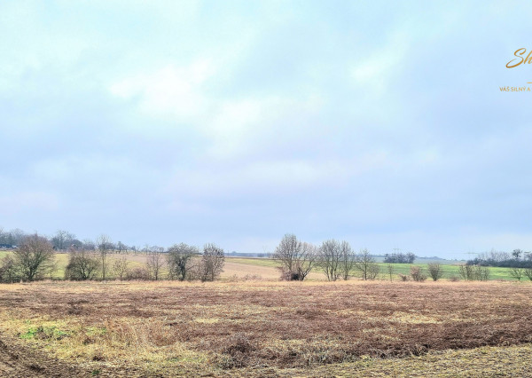 Na predaj pozemok v obci Veľaty 