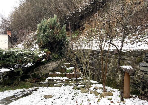 Rodinný dom v centre mesta s potenciálom
