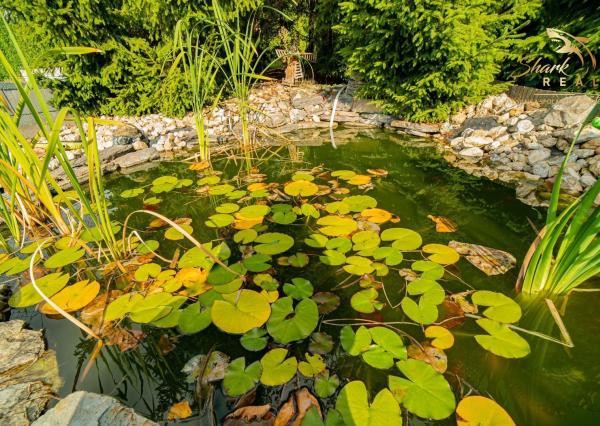 Na prenájom očarujúci penzión Dahlia s vynikajúcimi recenziami, reštauráciou, welness a ihriskom