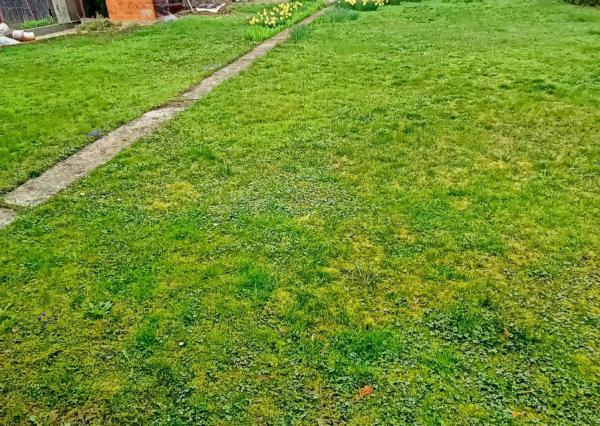 Priestranný rodinný dom s veľkou záhradou v TOP lokalite!