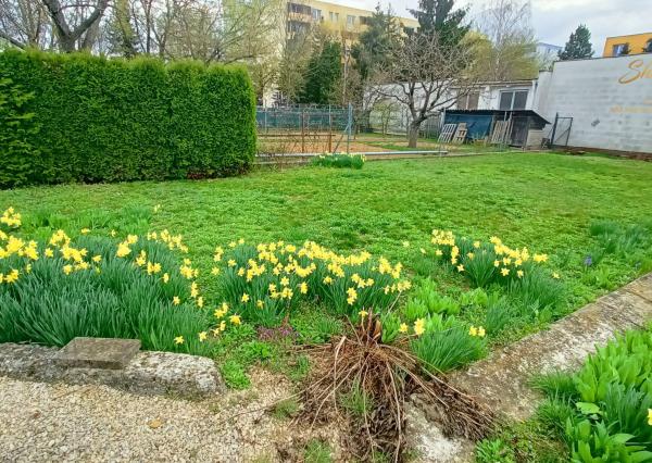 Priestranný rodinný dom s veľkou záhradou v TOP lokalite!