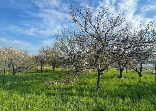 Slnečný rovinatý pozemok o výmere 408 m² v meste VRBOVÉ