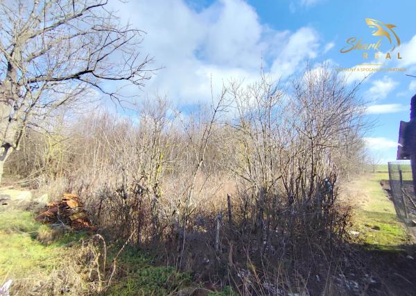 Novinka! Menší dom s rozsiahlym pozemkom v TOP lokalite