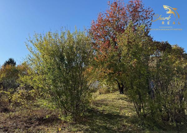 EKONOMICKÁ CENA _ 700 m2 _ Rekreačný pozemok _MLADÁ GARDA Bratislava