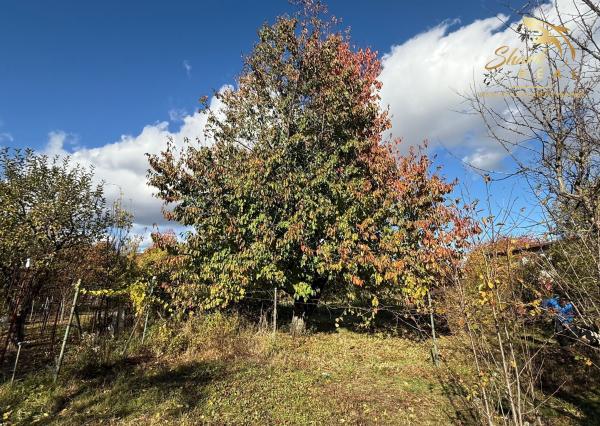 EKONOMICKÁ CENA _ 700 m2 _ Rekreačný pozemok _MLADÁ GARDA Bratislava