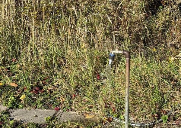 EKONOMICKÁ CENA _ 700 m2 _ Rekreačný pozemok _MLADÁ GARDA Bratislava