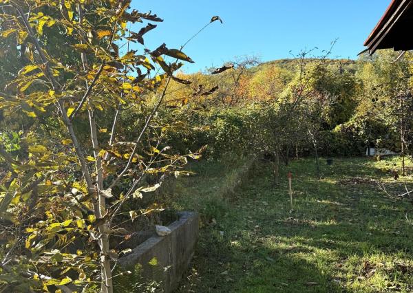 EKONOMICKÁ CENA _ 700 m2 _ Rekreačný pozemok _MLADÁ GARDA Bratislava